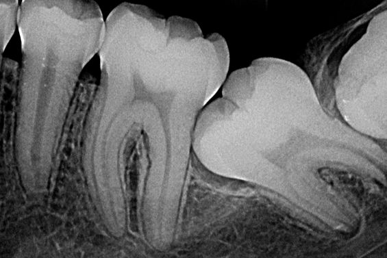 RaioClin Centro de Radiologia Odontológico